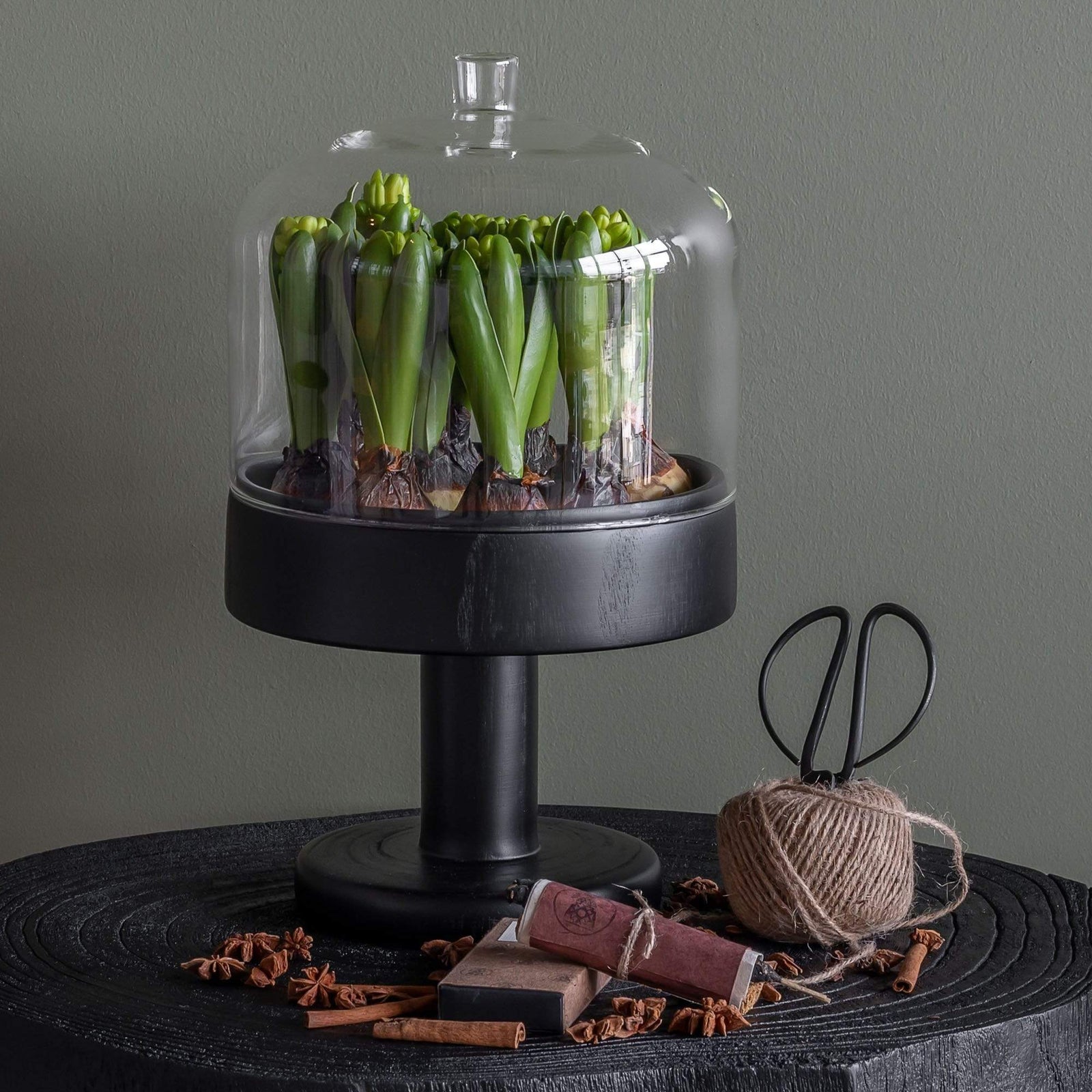 LS - Vintage Apothecary Krukke "som den er"